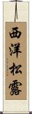 西洋松露 Scroll