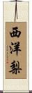 西洋梨 Scroll