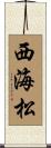 西海松 Scroll
