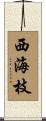 西海枝 Scroll