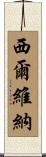 Silvina Scroll