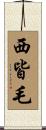 西皆毛 Scroll