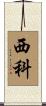 西科 Scroll