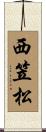 西笠松 Scroll