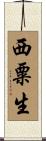 西粟生 Scroll