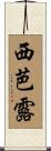 西芭露 Scroll