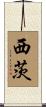 西茨 Scroll