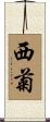 西菊 Scroll