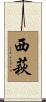西萩 Scroll
