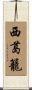 西葛籠 Scroll