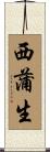 西蒲生 Scroll