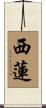 西蓮 Scroll