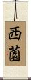 西薗 Scroll