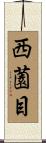 西薗目 Scroll