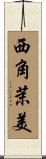 西角茉美 Scroll