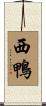西鴨 Scroll