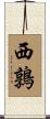 西鶉 Scroll