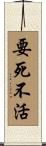 要死不活 Scroll
