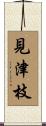 見津枝 Scroll
