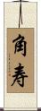 角寿 Scroll