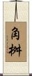 角桝 Scroll
