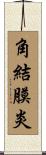 角結膜炎 Scroll