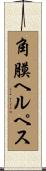 角膜ヘルペス Scroll