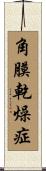 角膜乾燥症 Scroll