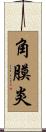 角膜炎 Scroll