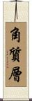 角質層 Scroll