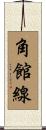 角館線 Scroll