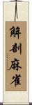 解剖麻雀 Scroll