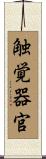 触覚器官 Scroll