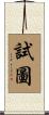 試圖 Scroll