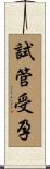 試管受孕 Scroll