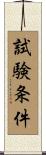 試験条件 Scroll