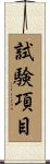 試験項目 Scroll