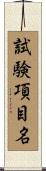 試験項目名 Scroll