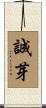 誠芽 Scroll