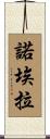Noela Scroll