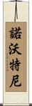 Novotny Scroll