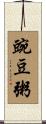 豌豆粥 Scroll