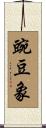 豌豆象 Scroll
