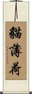 貓薄荷 Scroll