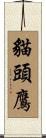 貓頭鷹 Scroll
