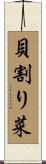 貝割り菜 Scroll