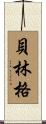 Bellinger Scroll