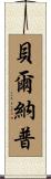 Belknap Scroll