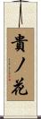 貴ノ花 Scroll