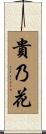 貴乃花 Scroll